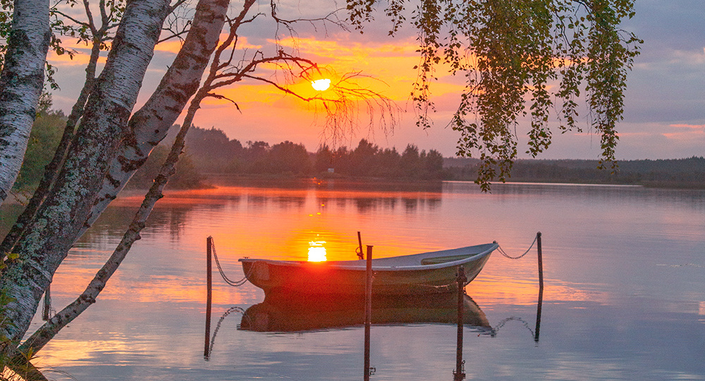 Дачные зарисовки