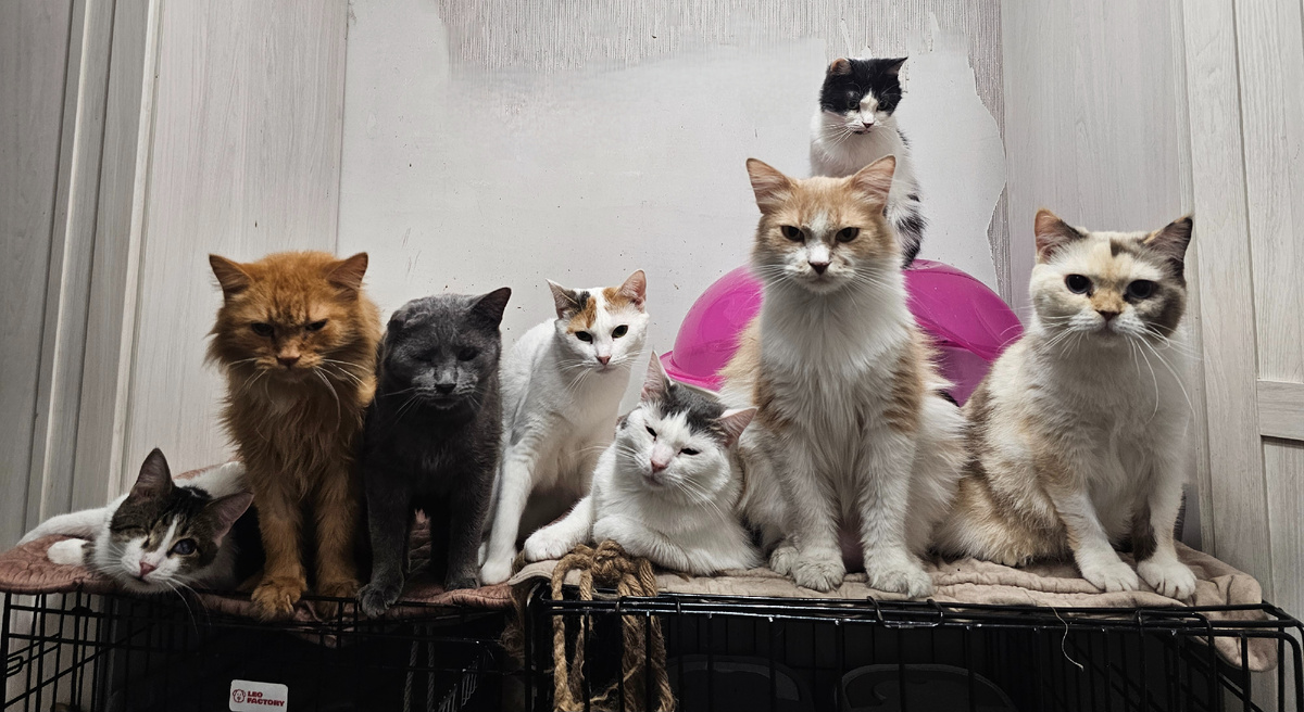 Фото автора. Ребята в приюте.