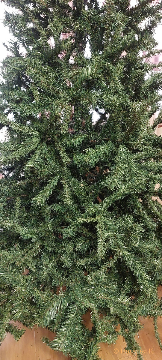 Фото автора канала. Наша ёлка.