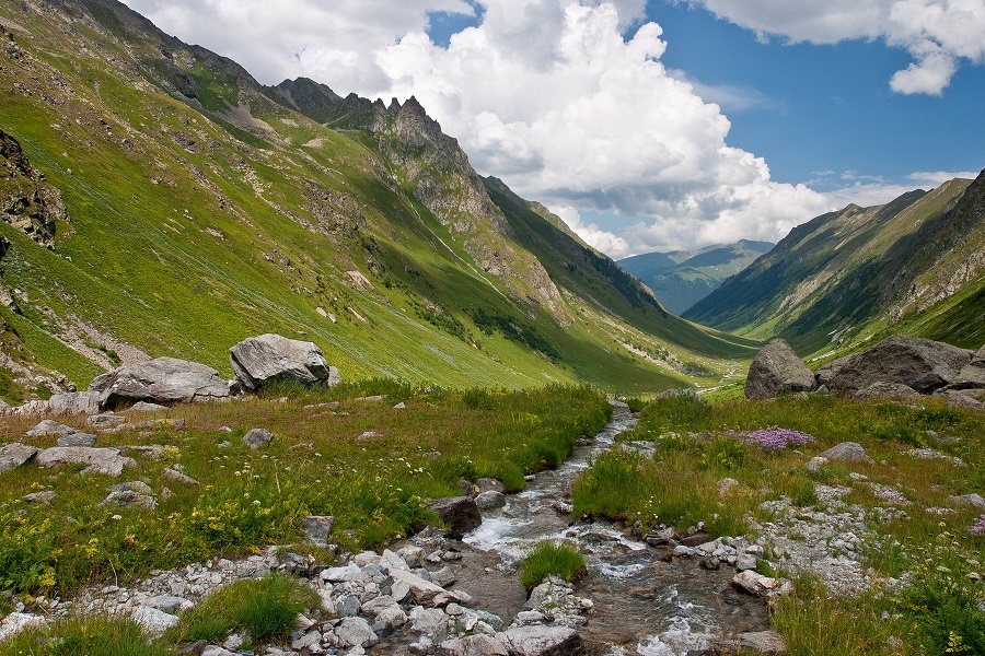   Фото: пресс-служба Кавказского заповедника