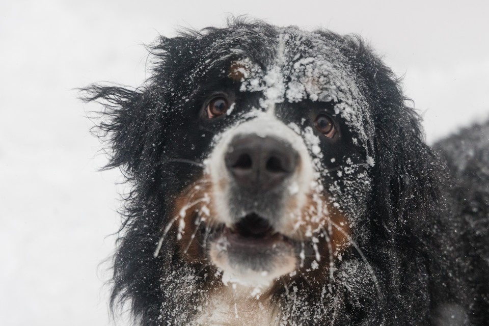    На Южном Урале из-за стужи объявили штормовое предупреждение Валерий ЗВОНАРЕВ