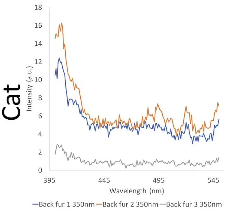 Спектры флуоресценции образцов домашней кошки. Темная шерсть кошки не флуоресцировала, а белая — флуоресцировала. Источник фото ─ Daily Mail.