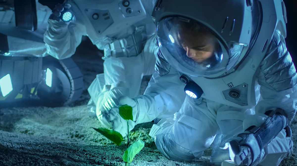    Победитель конкурса получит 300 тыс. долларов, второе и третье места — 200 тыс. и 100 тыс. соответственно