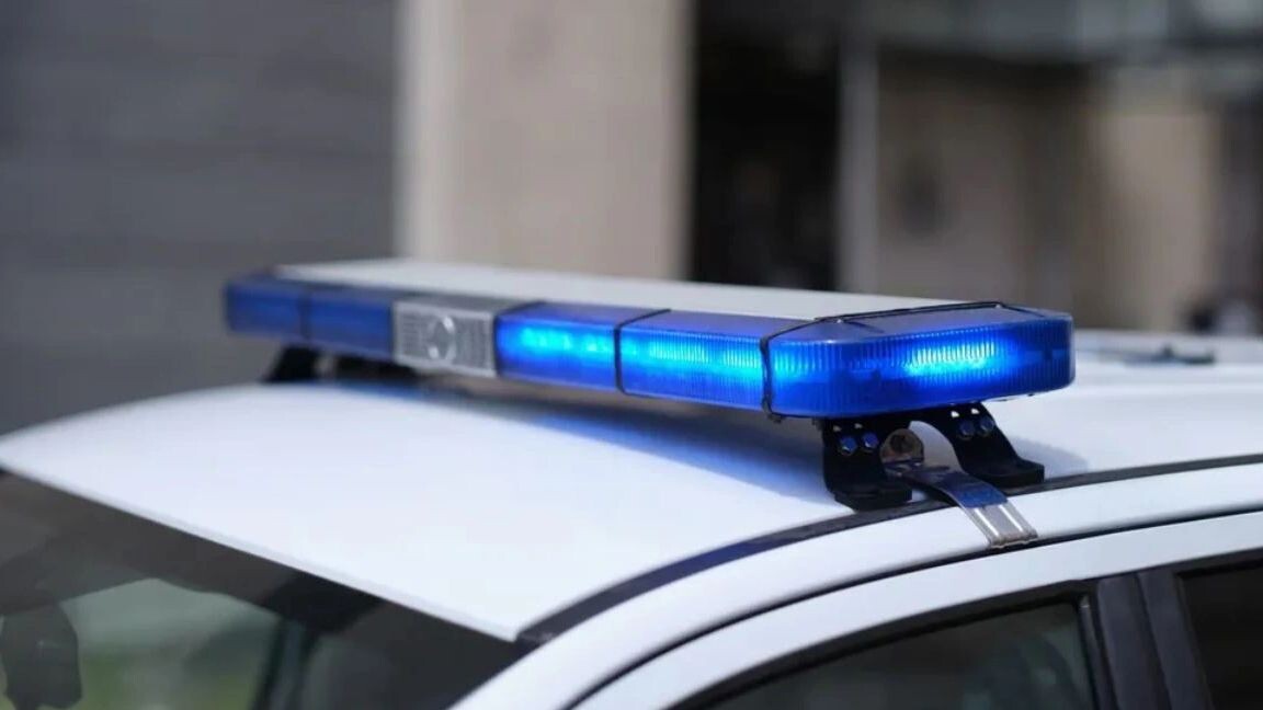    Фото: H_Ko/Shutterstock/Fotodom