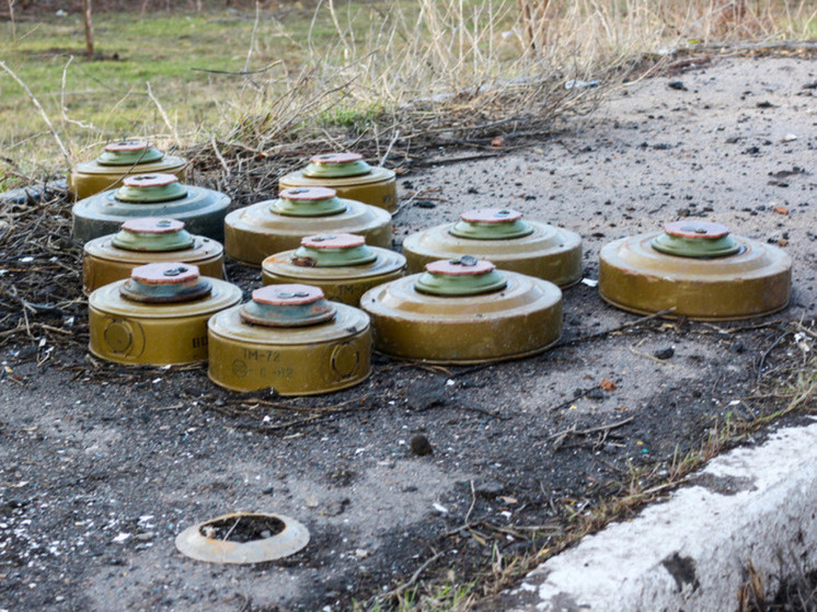     Фото: Konopatov Yuri/news.ru/Global Look Press