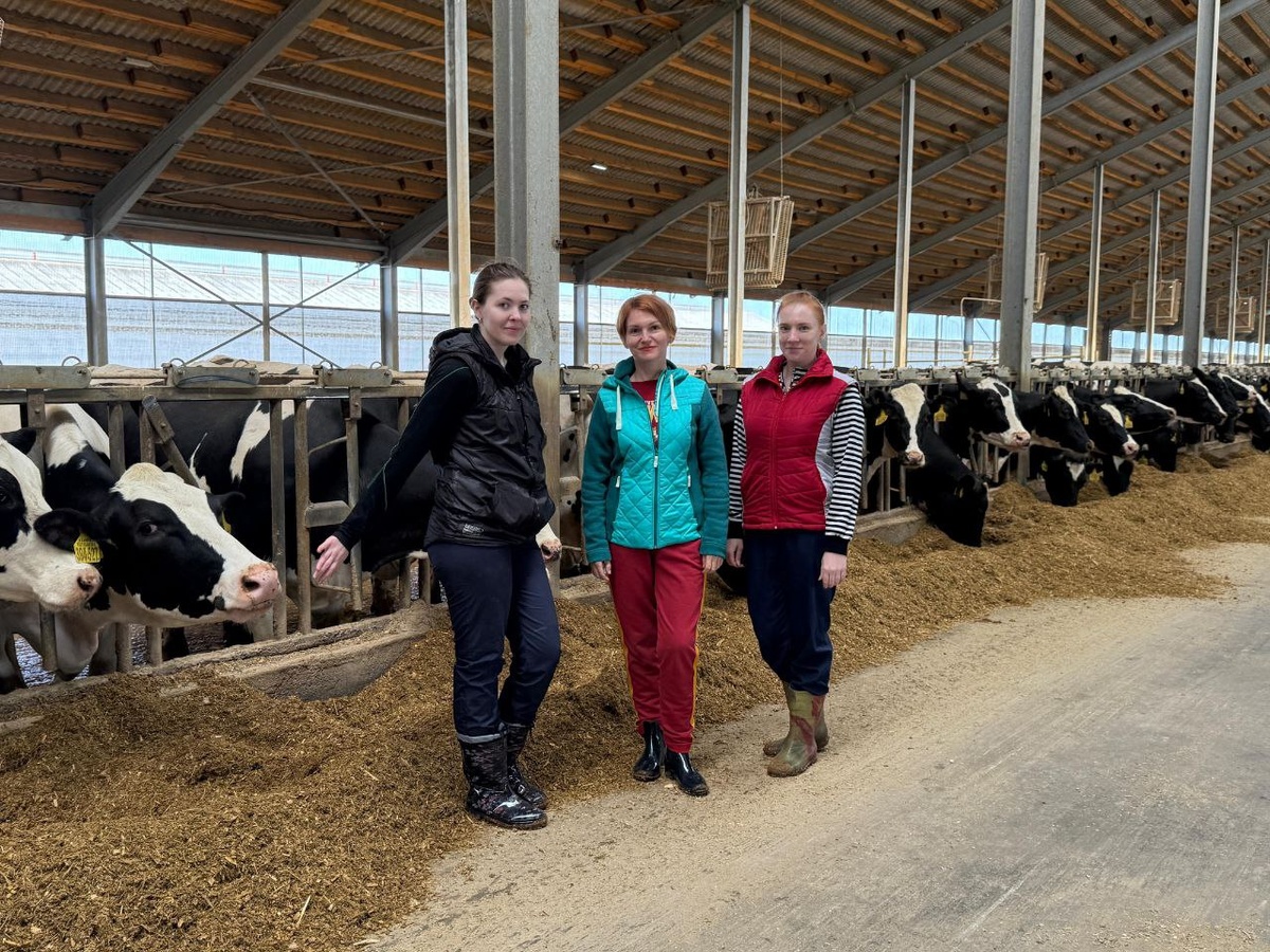 Основной исполнитель проекта, поддержанного РНФ, директор института ветеринарной медицины и фармации, доктор биологических наук, доцент Ольга Ларионова в хозяйстве, где проводится вакцинация против инфекционных болезней сельскохозяйственных животных. Источник: Валентина Федорова и Ольга Ларионова