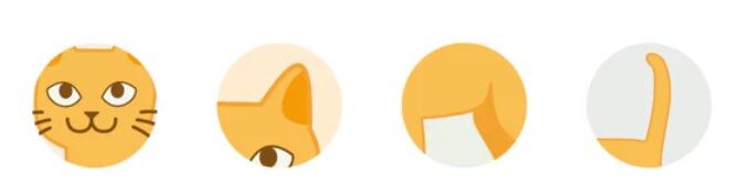 Ключевые "индикаторы" языка тела кошки: глаза, уши, тело, хвост