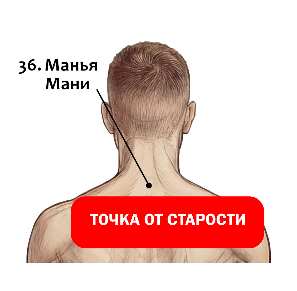 Точка "от старости" Манья Мани