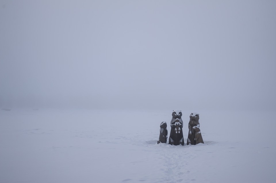   Илья САВЧУК