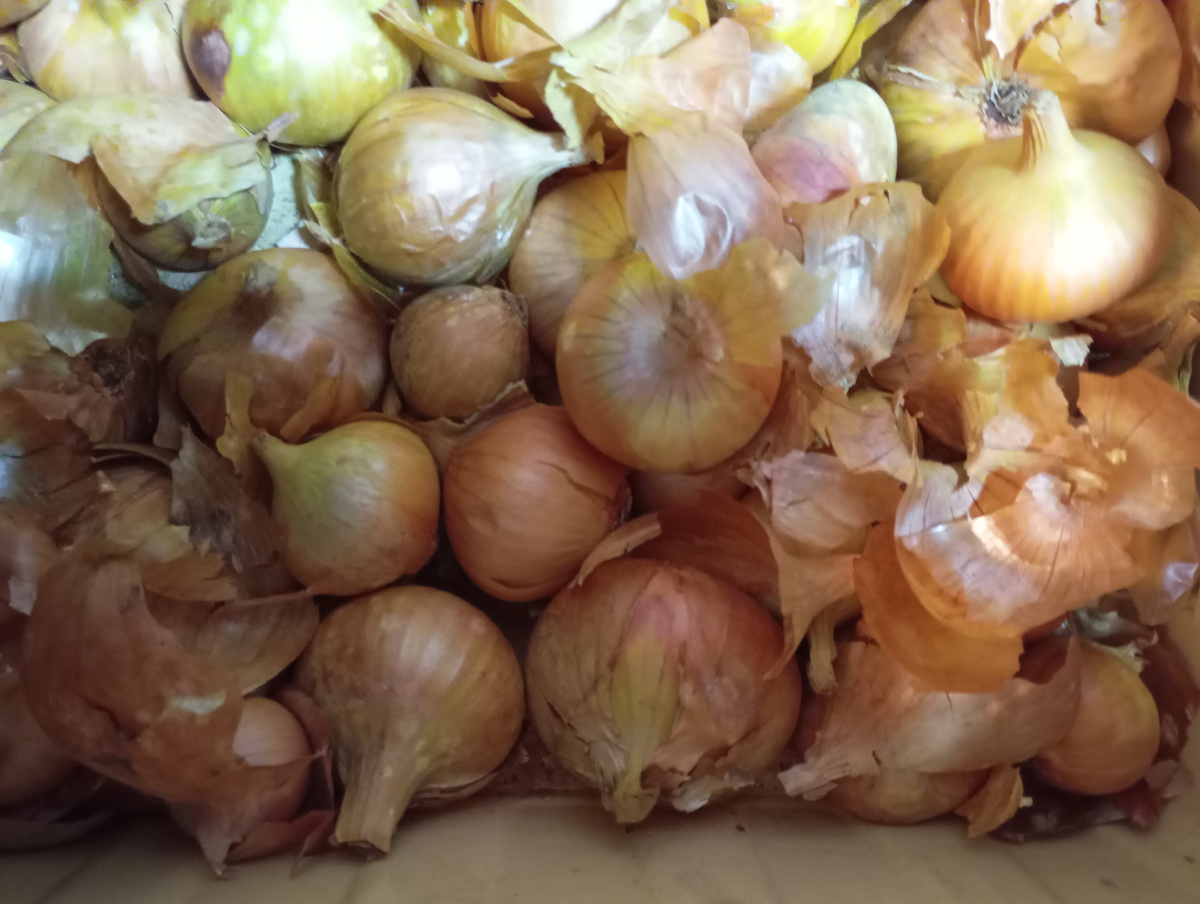 Фото автора.