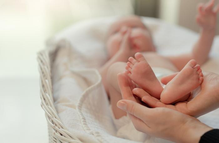 Обложка © Shutterstock / FOTODOM / Leka Sergeeva