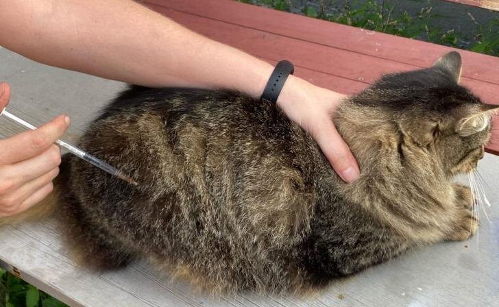    фото Курские известия