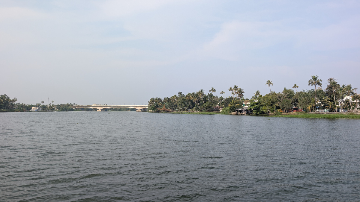 заводи Кочи, они же backwaters