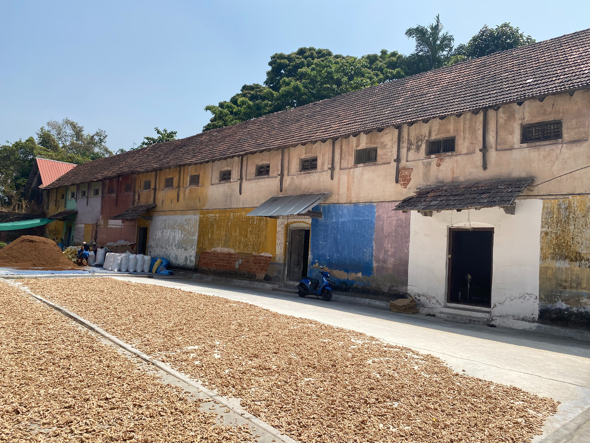 район Матанчерри. сушка специй на солнце