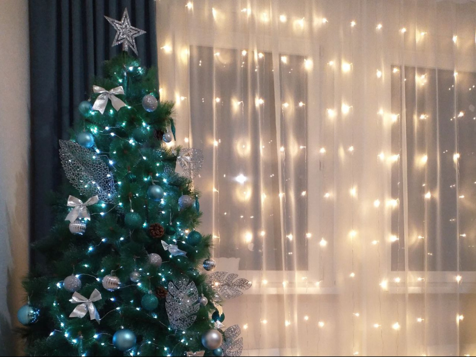    Фото: МедиаБанк Подмосковья/Валерия Тингаева