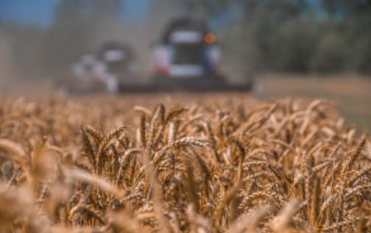    Фото: Минсельхоз Липецкой области