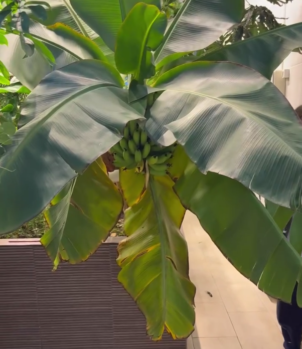    Фото: Semya_pirlik / "ВКонтакте".