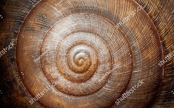 Иллюстрация к теме. Фото из сети. Лицензии нет.