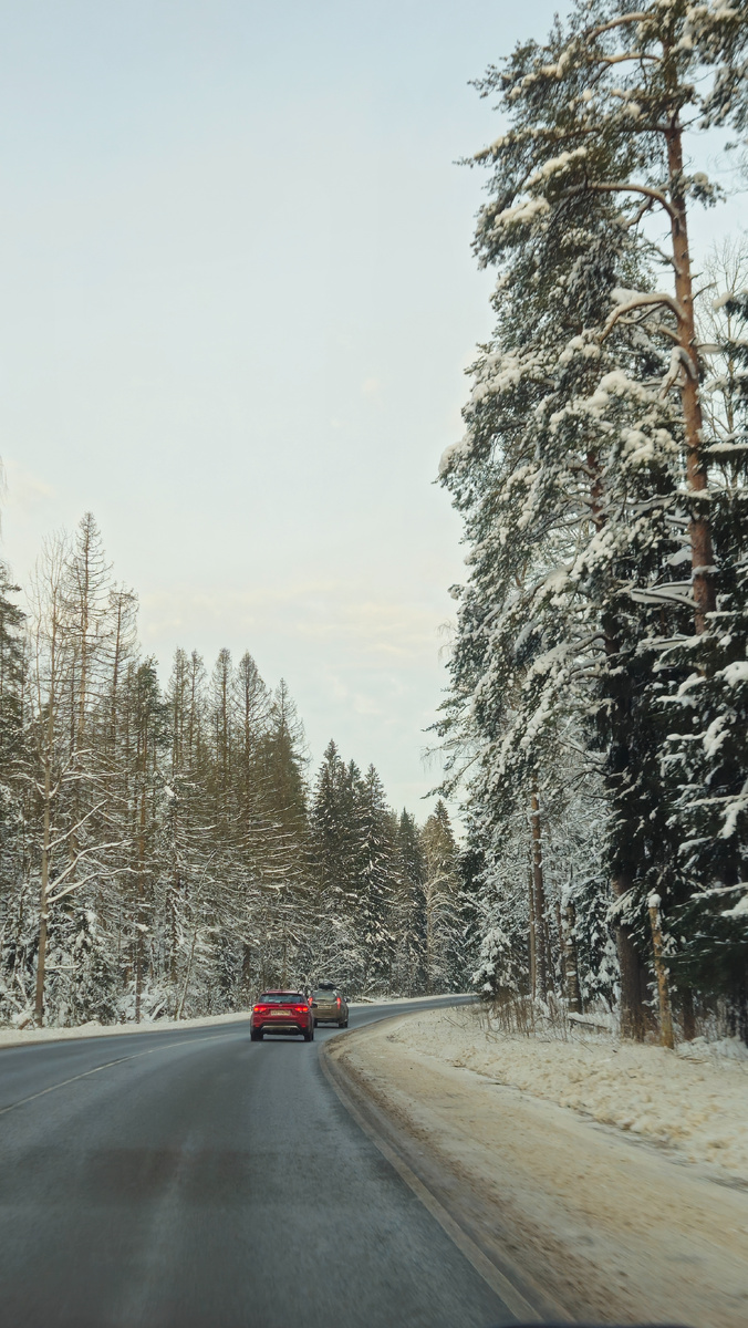Выборгское шоссе (фотография автора)