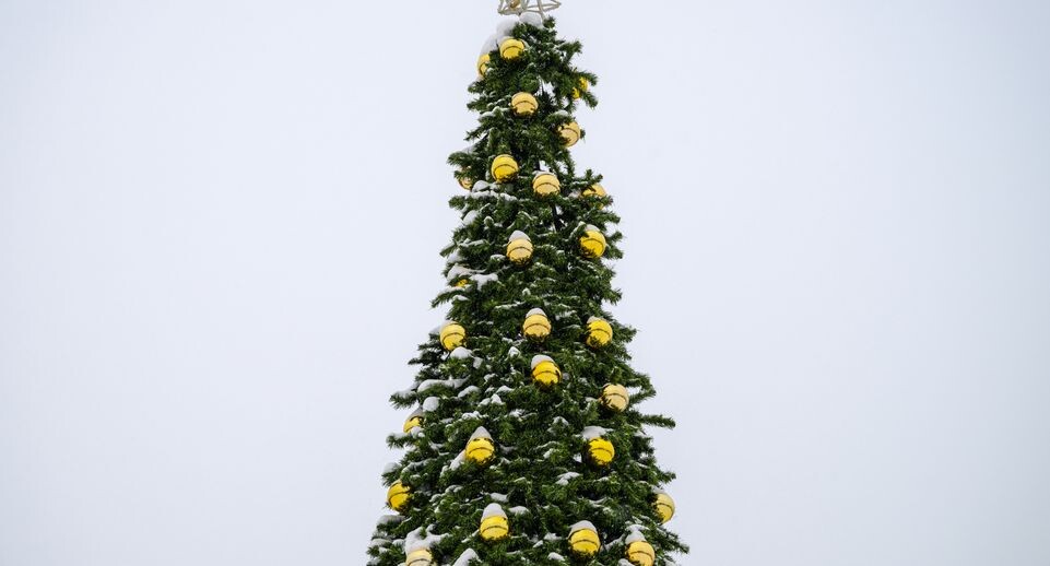    Новогодняя елка в парке «Меленки» Павловского Посада / Медиасток.рф