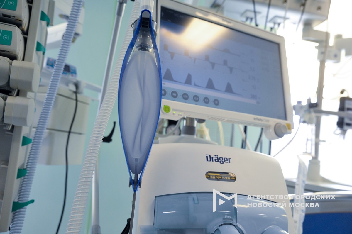 Фотограф: Александр Авилов