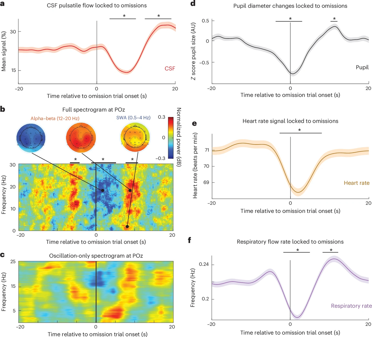    Нарушения внимания связаны с пульсирующим потоком спинномозговой жидкости и рядом нейронных и системных физиологических изменений.
