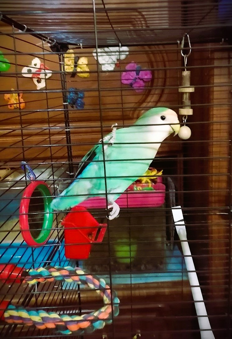 А это он нормальном положении