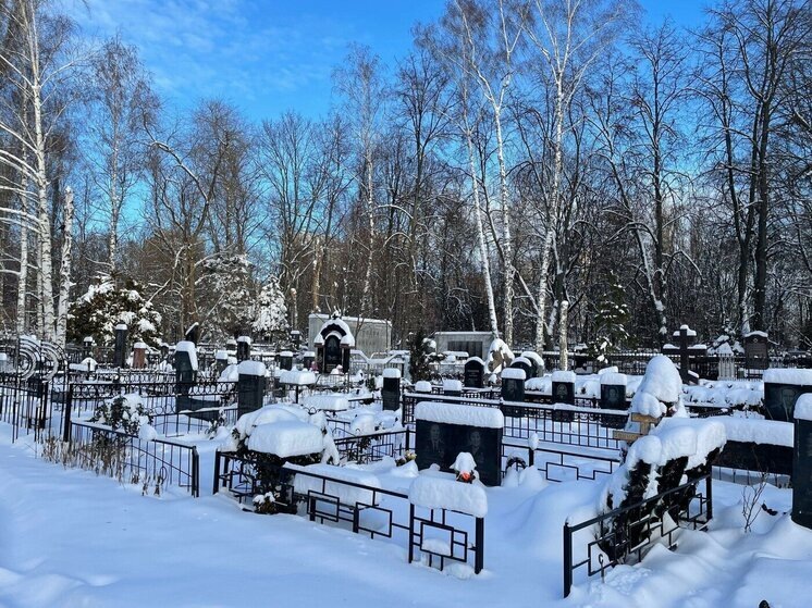     Фото: "МК в Воронеже"
