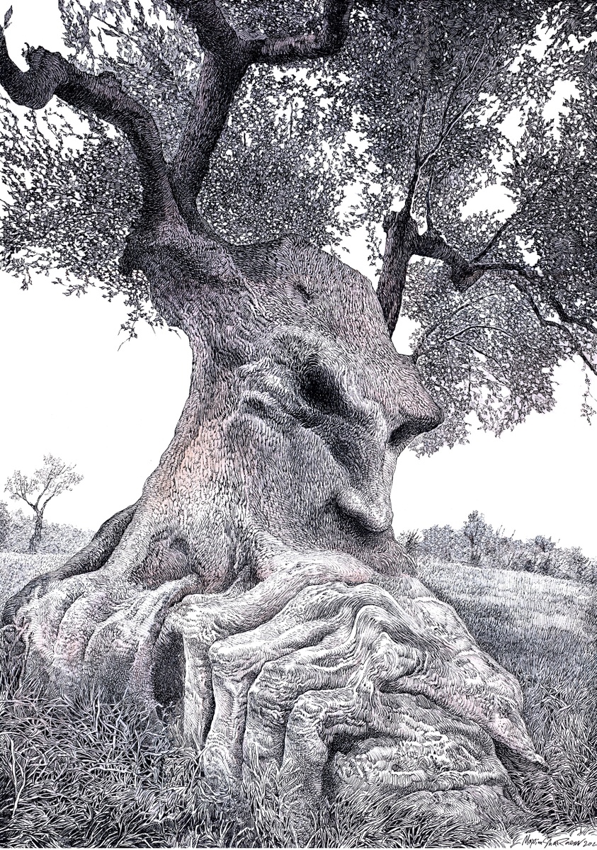 Арт Максима Шараева