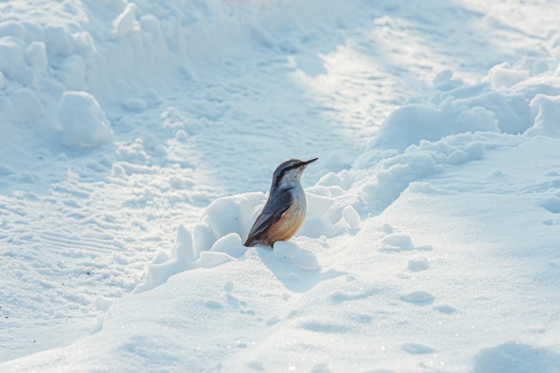     Тематическое фото. Фото: ИА OmskMedia