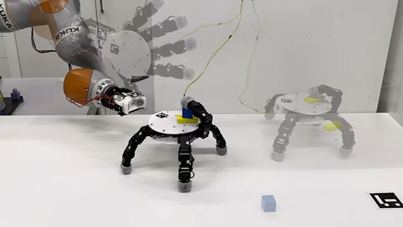    Источник изображений: EPFL