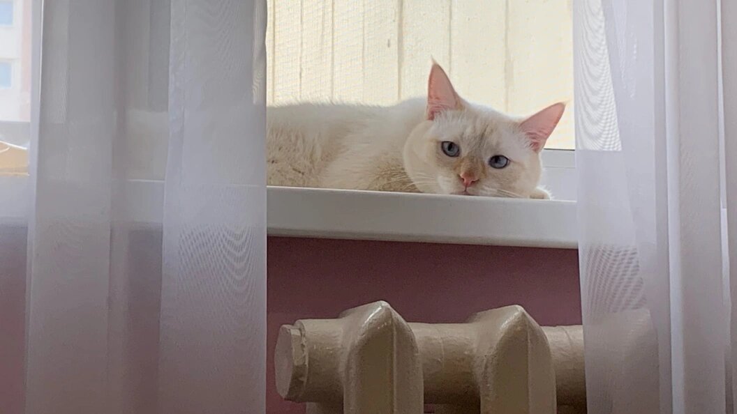    Фото: Царьград.