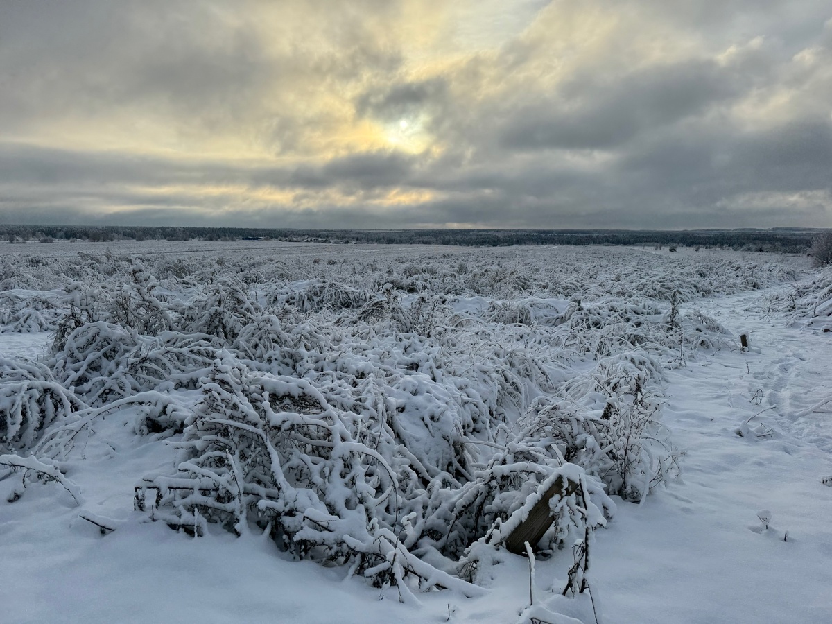   Чаллы.рф, фото из архива