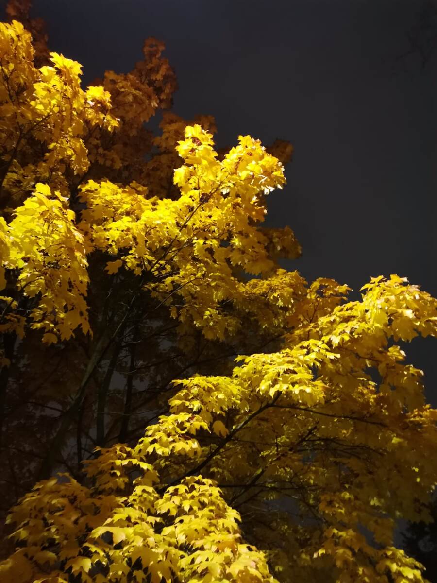 Что мы без электричества? И что делать, когда его не станет?