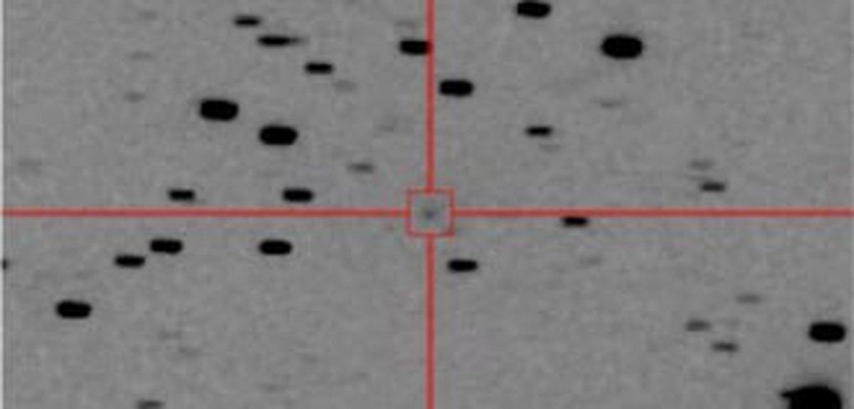    Узнаете на этом изображении комету? А астрономы утверждают, что она тут есть, в самом центре.
