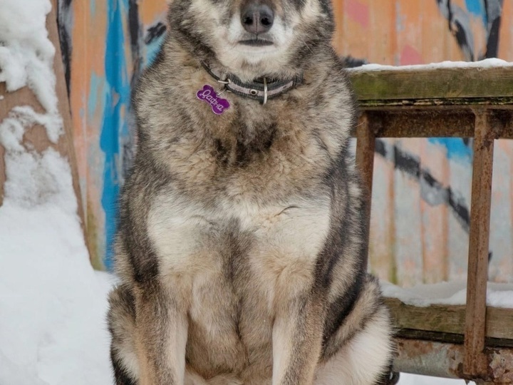 Мы хотим с вами разделить радость и сказать спасибо💝