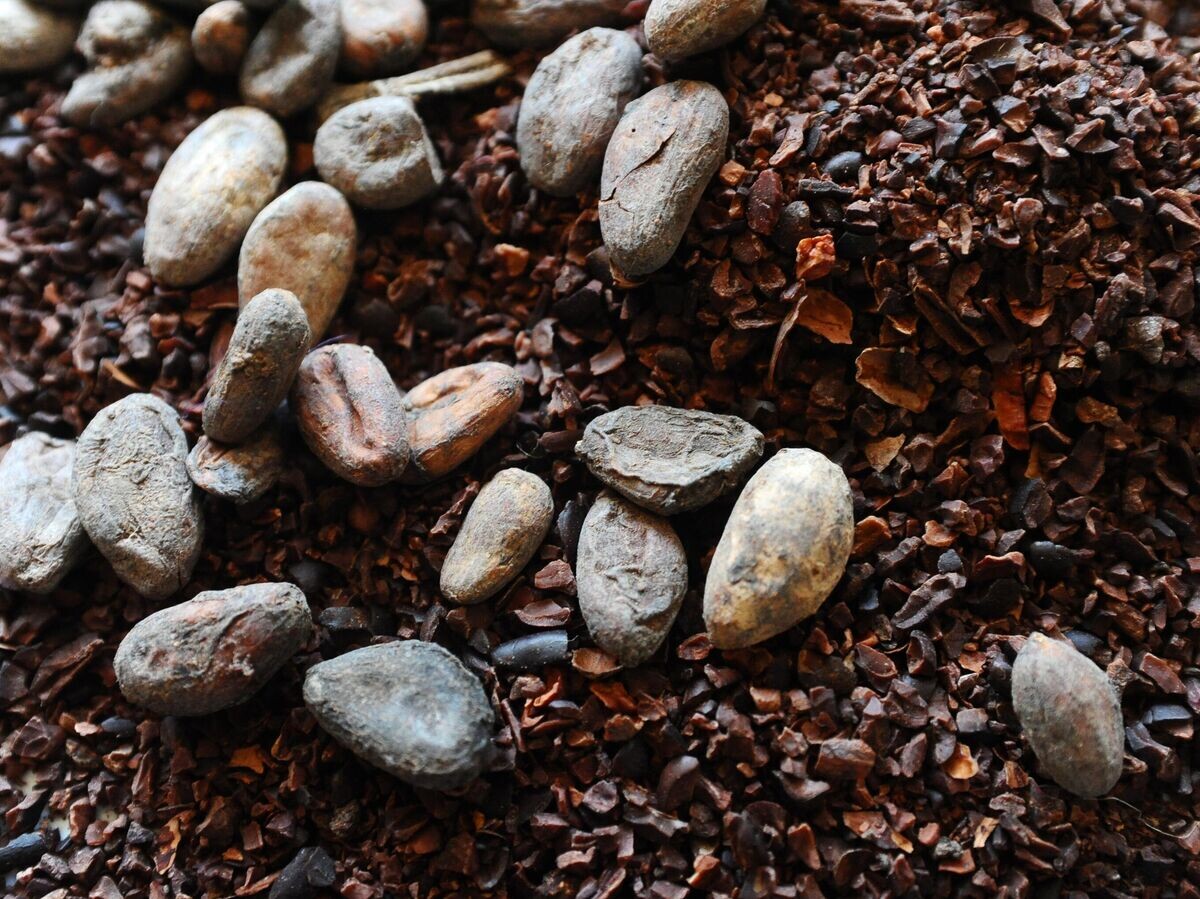    Какао-бобы и какао-крупка © РИА Новости . Алексей Сухоруков