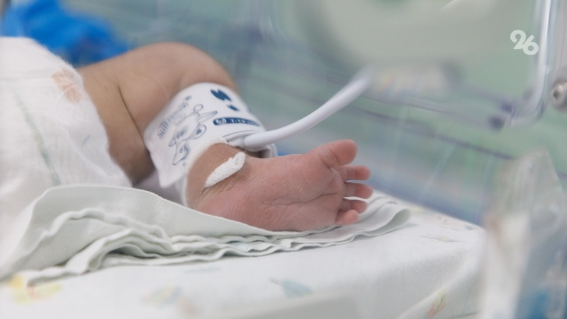      Фото: Дмитрий Ахмадуллин / / ИА «Победа26»