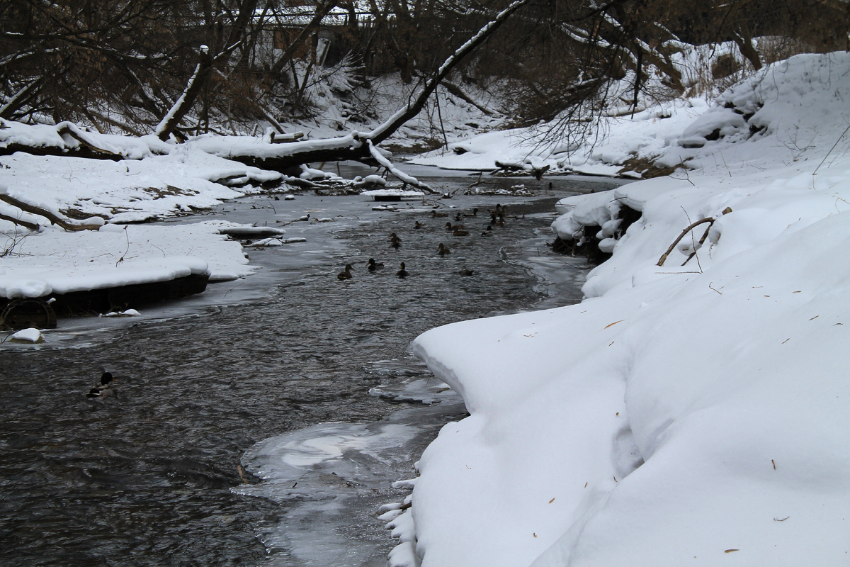 Фото автора.