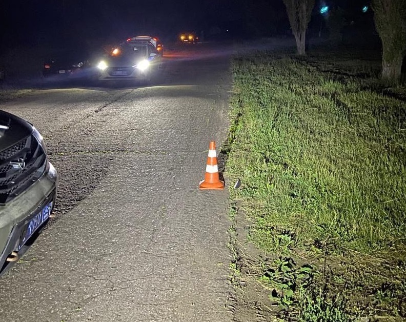     Фото предоставлены пресс-службой ГУ МВД и СУ СК по Воронежской области