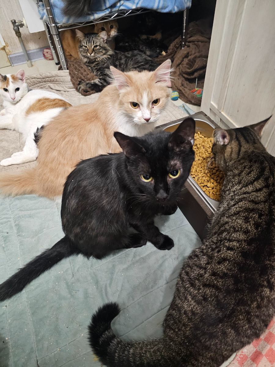 Фото автора. Ребята.