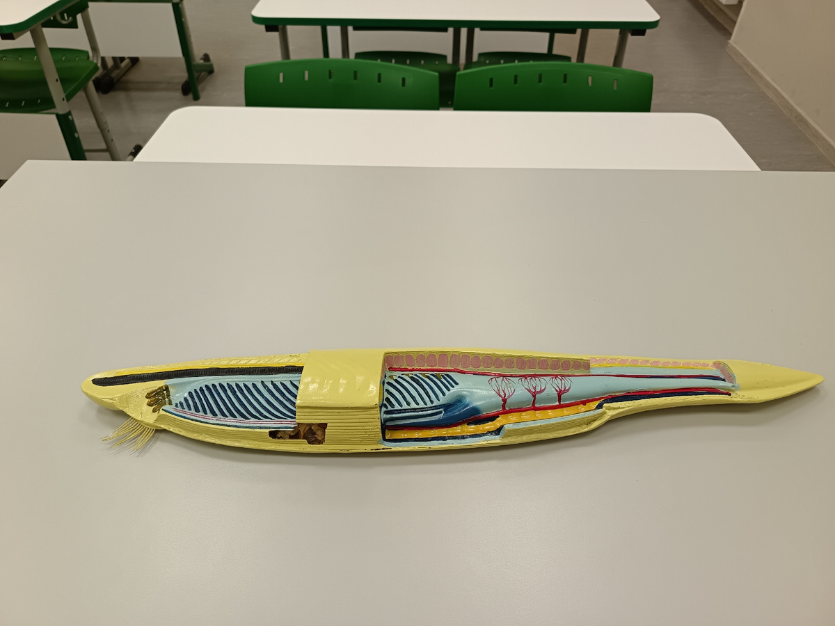 Фото автора статьи 