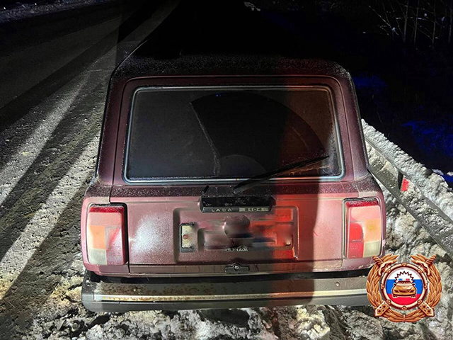 В Тверской области лось протаранил еще одну машину