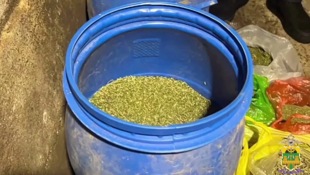    Скриншот видео t.me/mvd_23