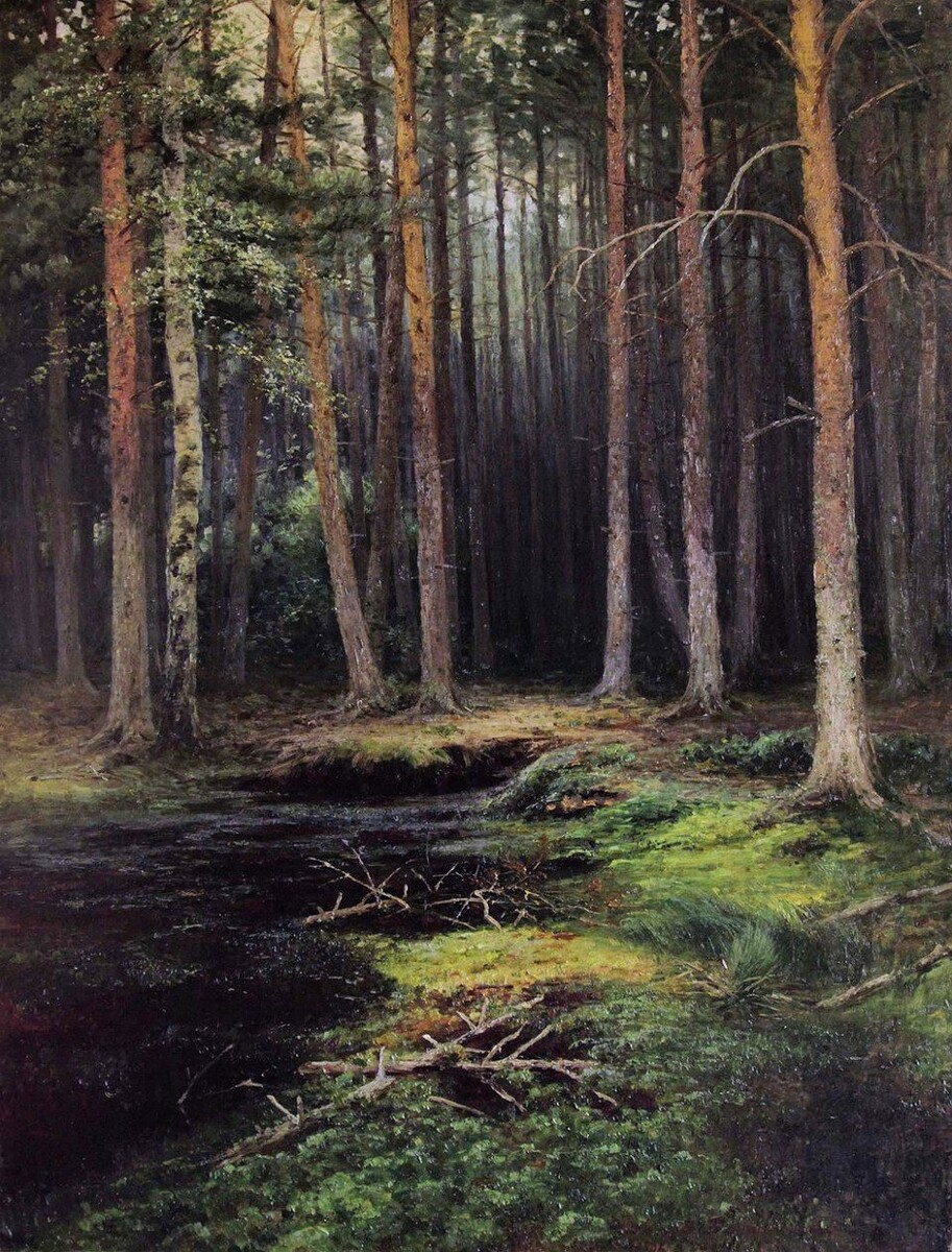 �� �������� ����, 1906 ���, �����, �����, 107 � 78,2 �� ������������ ��������� �������������� �����