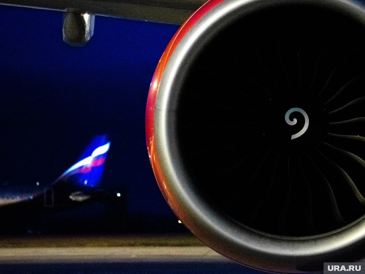     Самолету пришлось вернуться из-за попавшей в двигатель утки