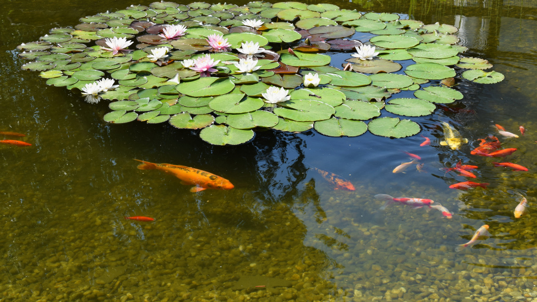    Фото: freepic.com.