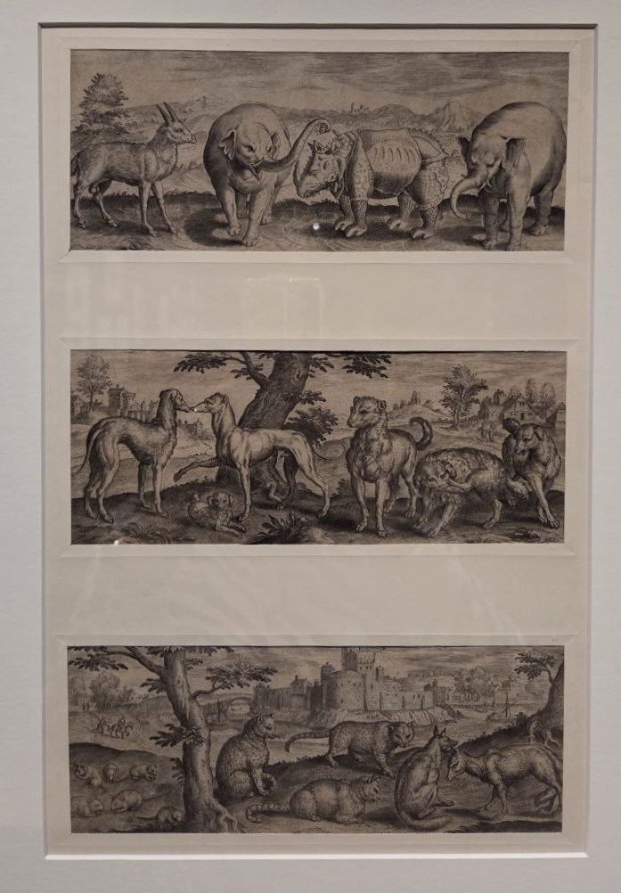 Абрахам де Брейн, Маркус Герартс. Слоны, газель, носорог. Собаки. Крысы, кошки, лисы. 1583-1587 бумага, гравюра резцом