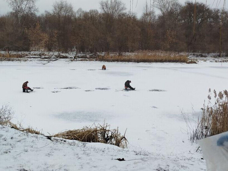     Источник: ИА "Онлайн Тамбов.ру"