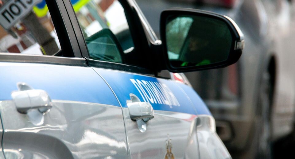    Svetlana Vozmilova/Global Look Press / www.globallookpress.com